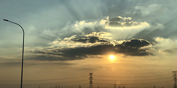 隆林悦旭技术优势